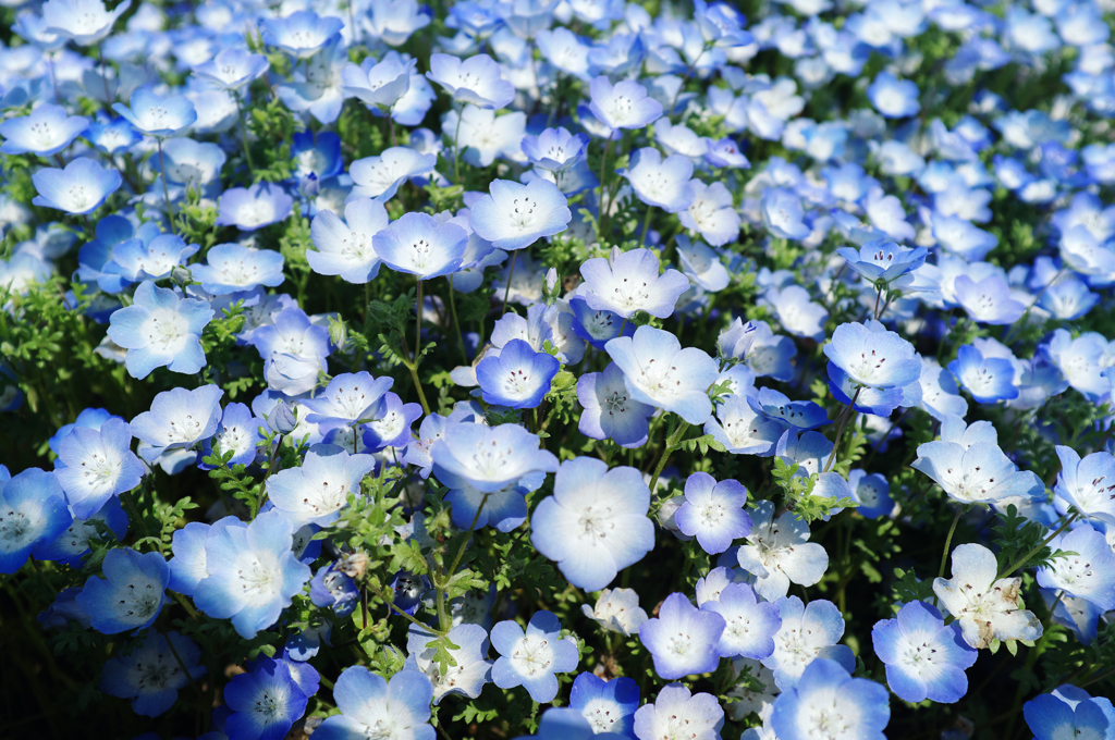 DSCF1218