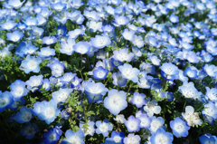 DSCF1218