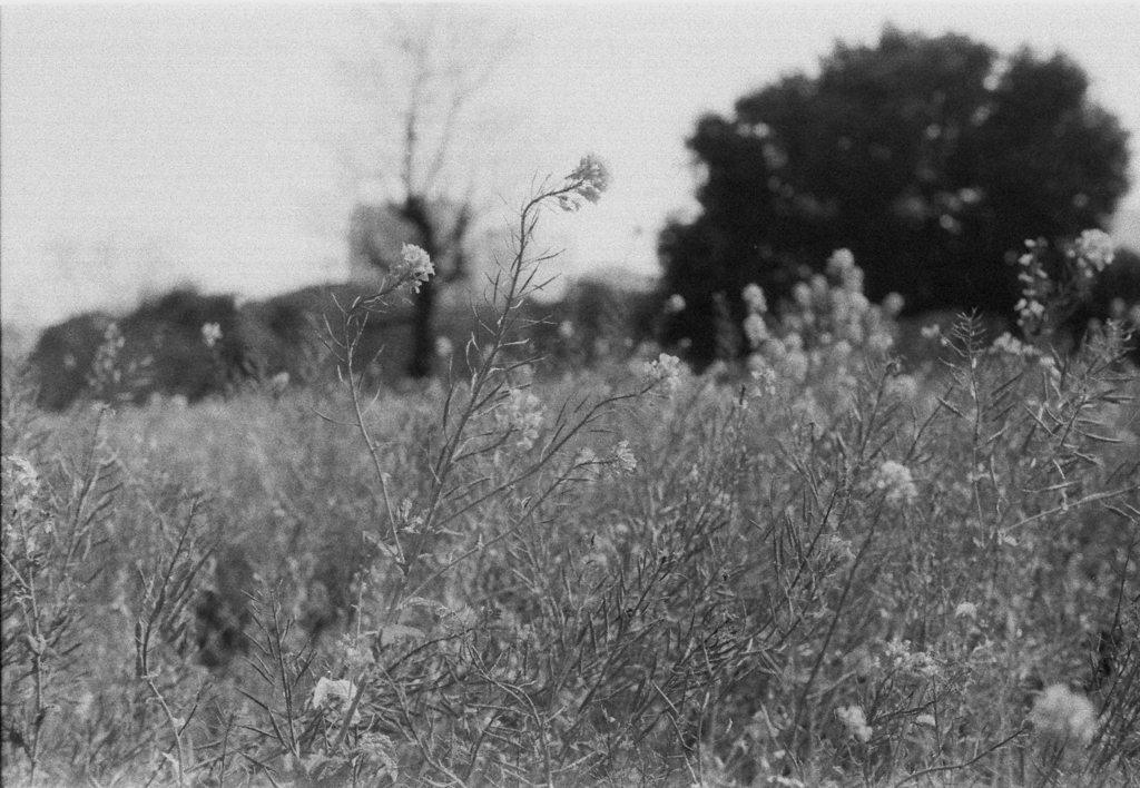 Image0030