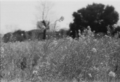 Image0030