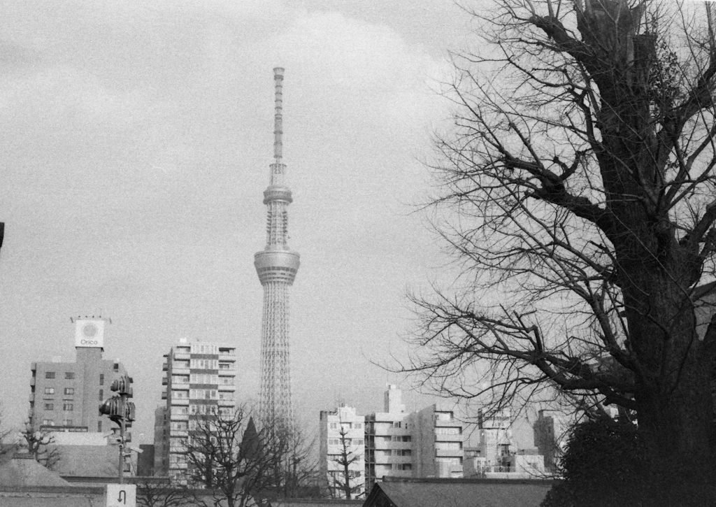 Image0021