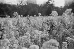 Image0028