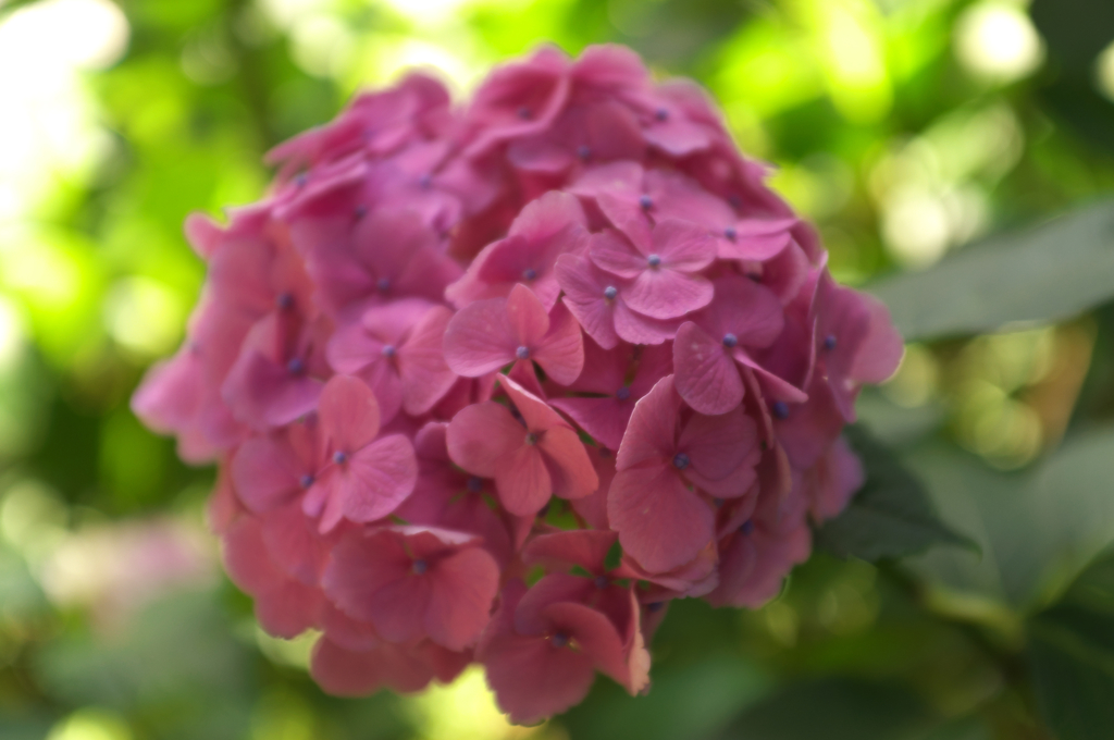 DSCF9477