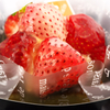 DSCF8514