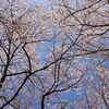 DSCF8726