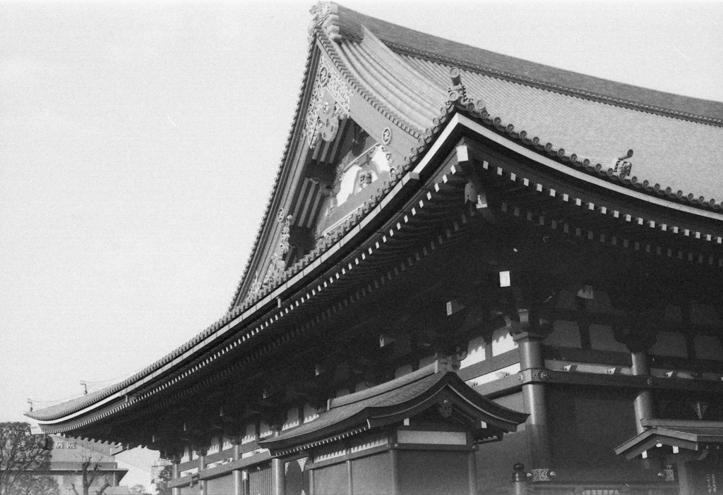 Image0023