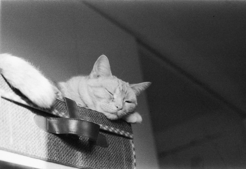 Image0003