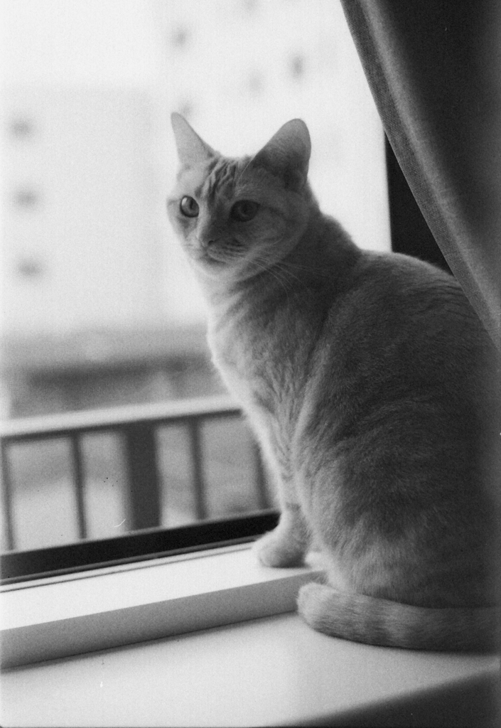 Image0005