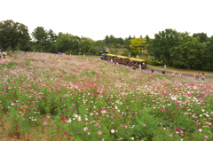 DSCF0097
