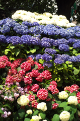 DSCF9471