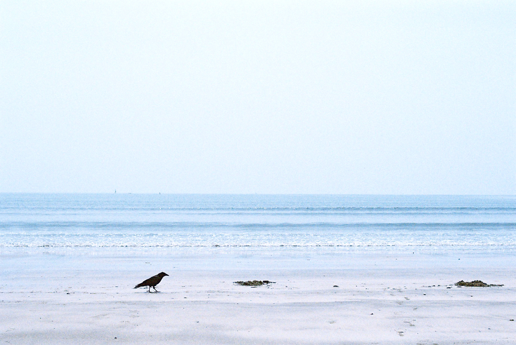 由比ヶ浜