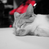 眠りひめ