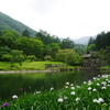 庭園