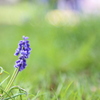 IMG_0077