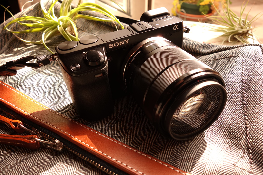 NEX-7