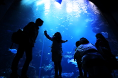 水族館の家族