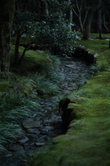 深緑