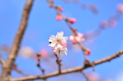 公園にて３