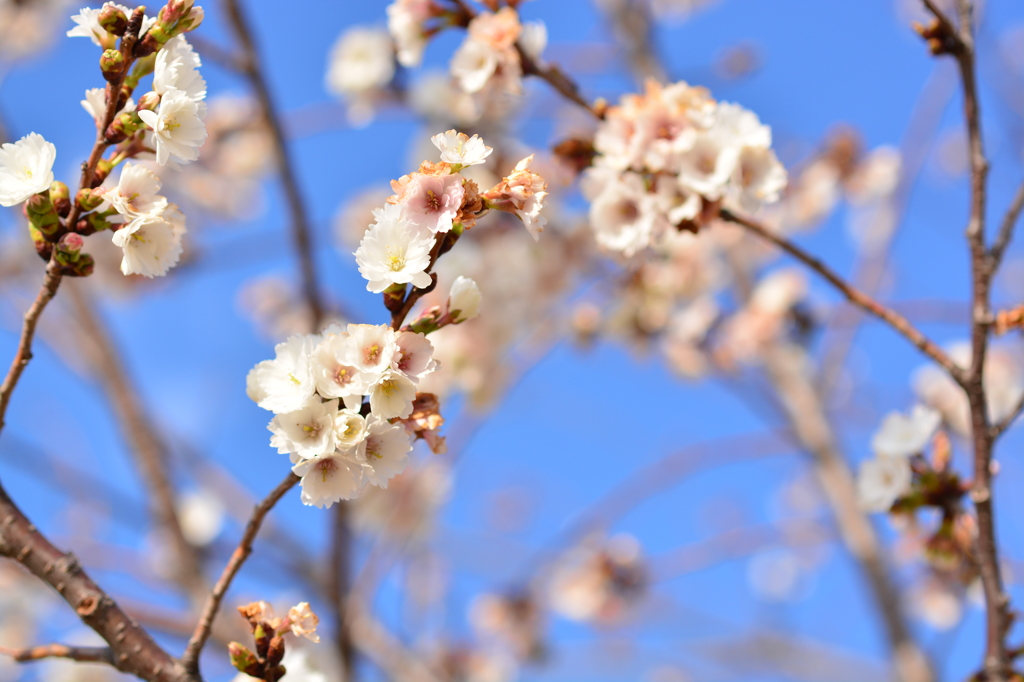 公園にて１