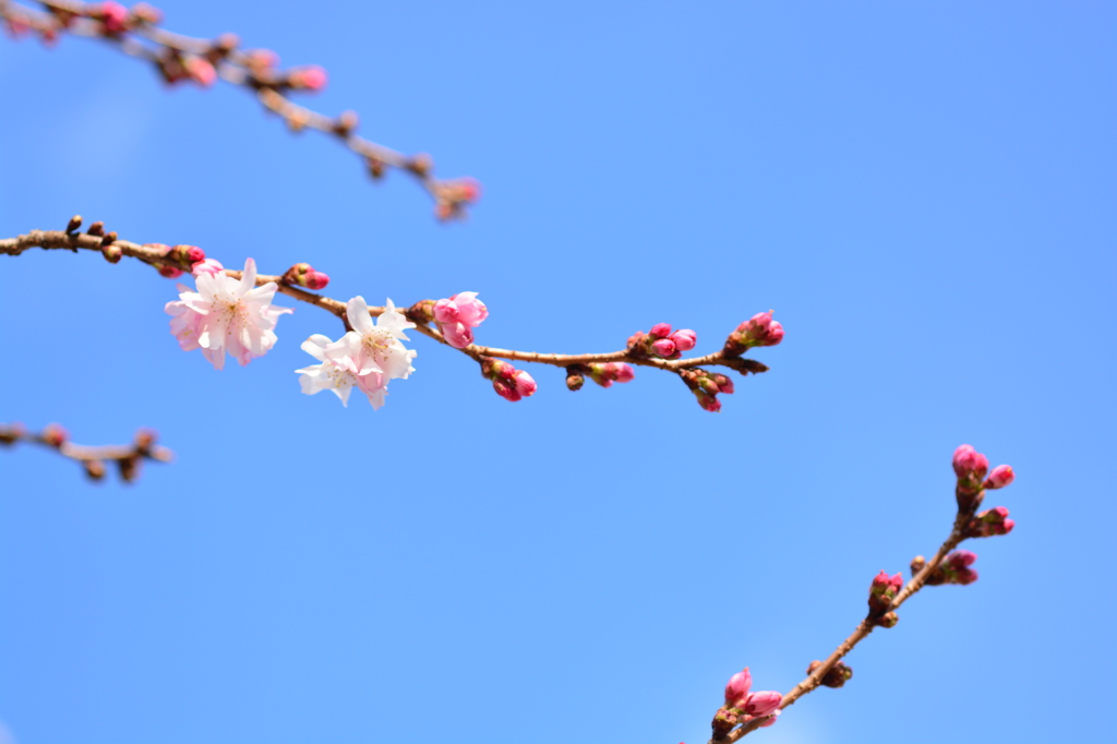 公園にて２