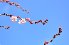 公園にて２
