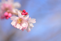公園にて４