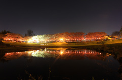 妙泉寺公園の夜桜