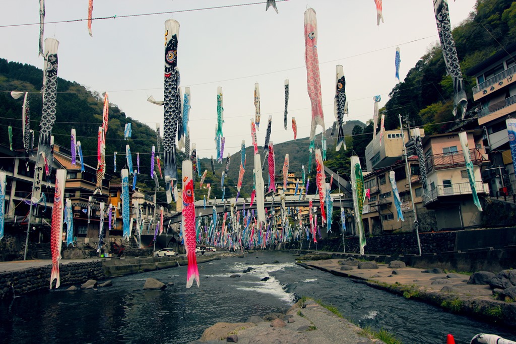 杖立温泉の鯉のぼり1