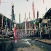 杖立温泉の鯉のぼり1