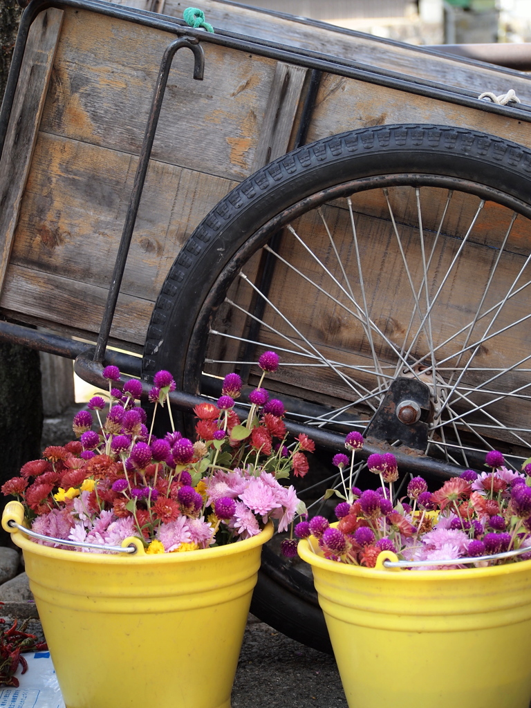 おひさしぶりです