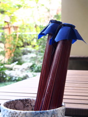 和傘ふたつ