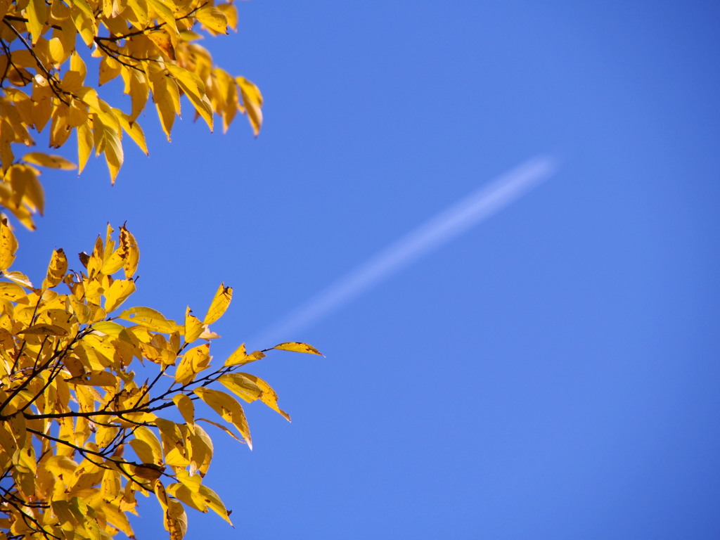 青空