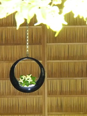 初夏