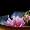 背景の色