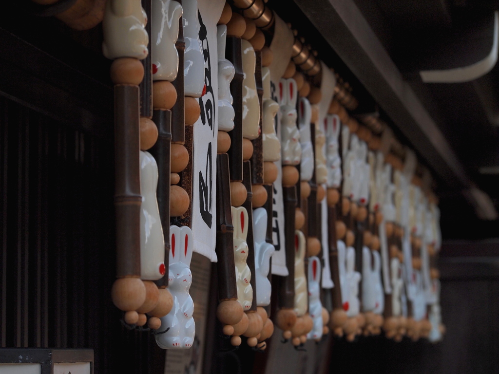 うさぎ。。うさぎ。。