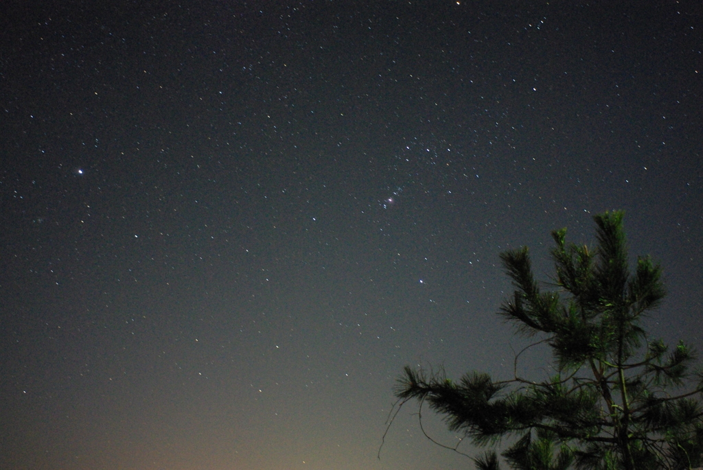 夜空観測隊３　　木と星