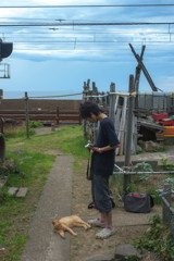 猫と人間と海と線路
