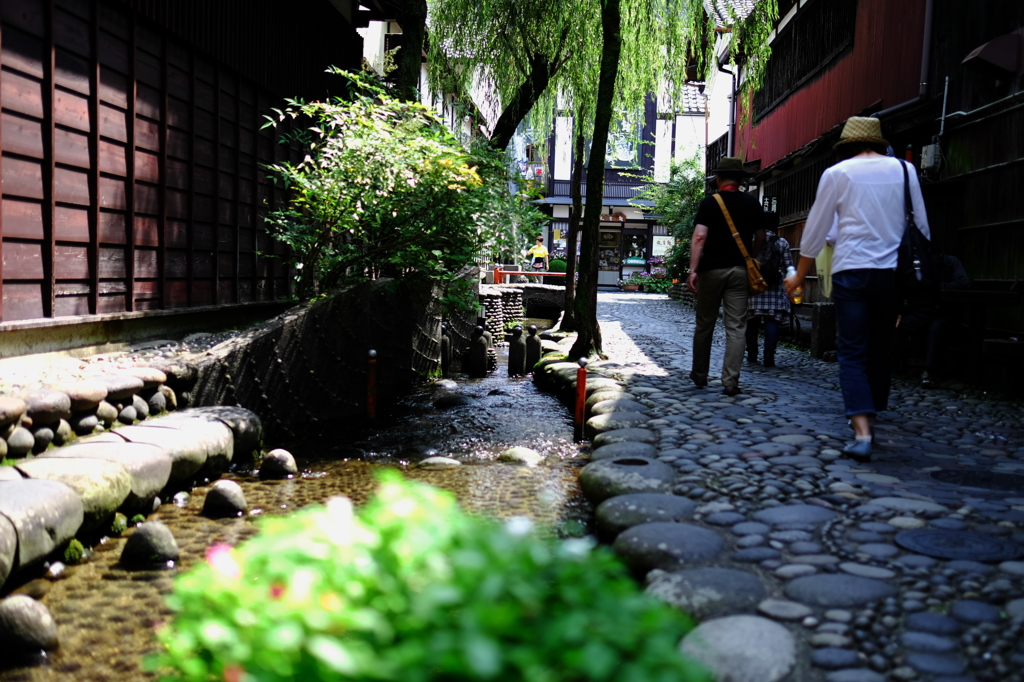 郡上八幡　やなか水のこみち