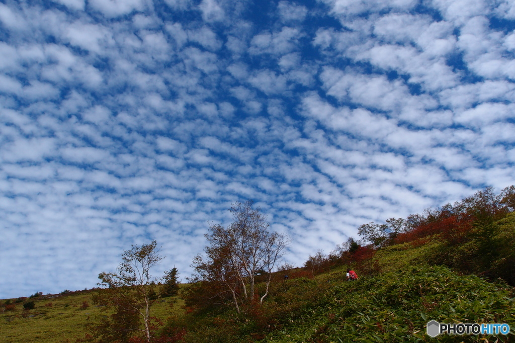 秋の空