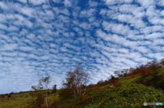 秋の空