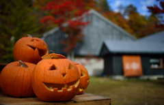 ハロウィンのお出迎え