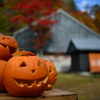 ハロウィンのお出迎え