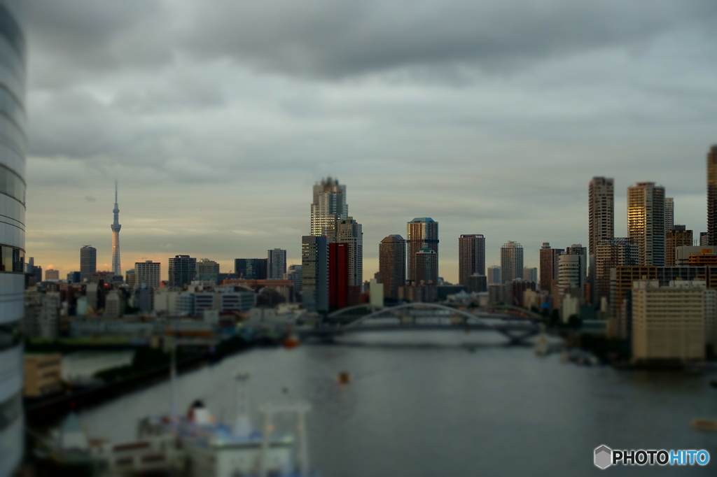東京ベイ