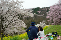 山桜を楽しむ家族