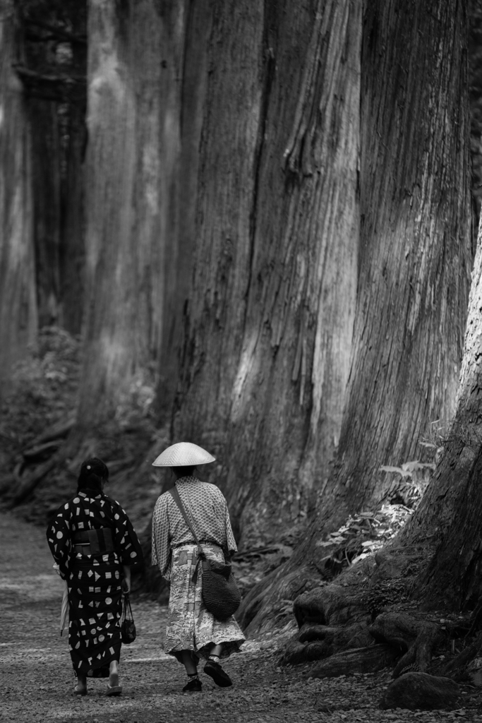 戸隠古道