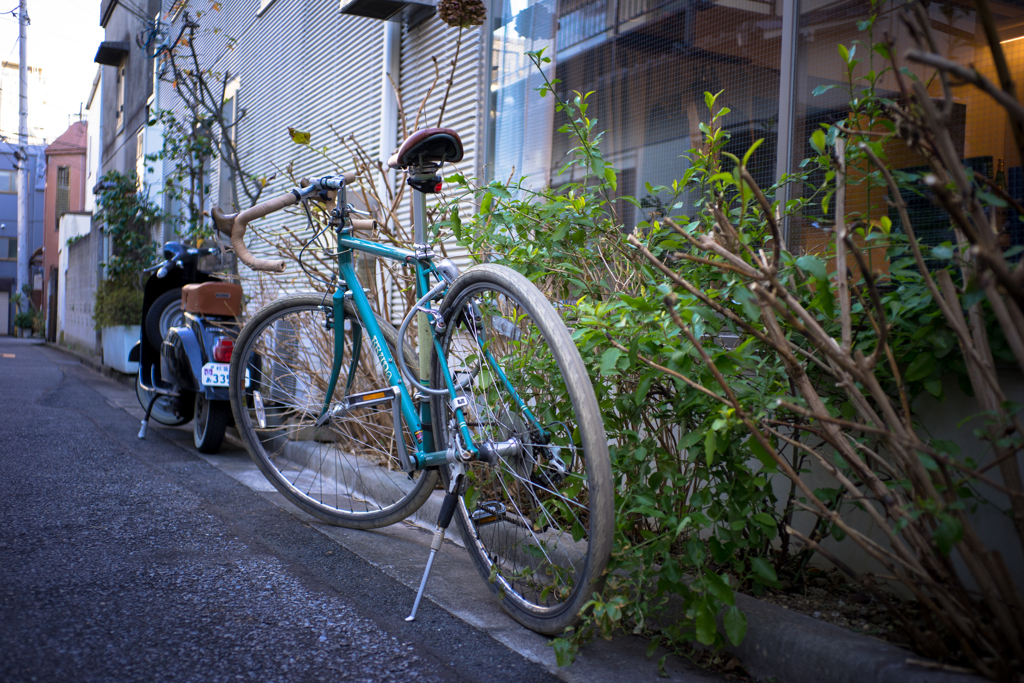 東京 自転車 散策