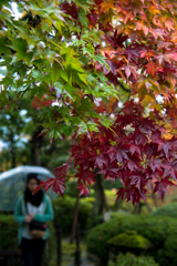 紅葉庭園