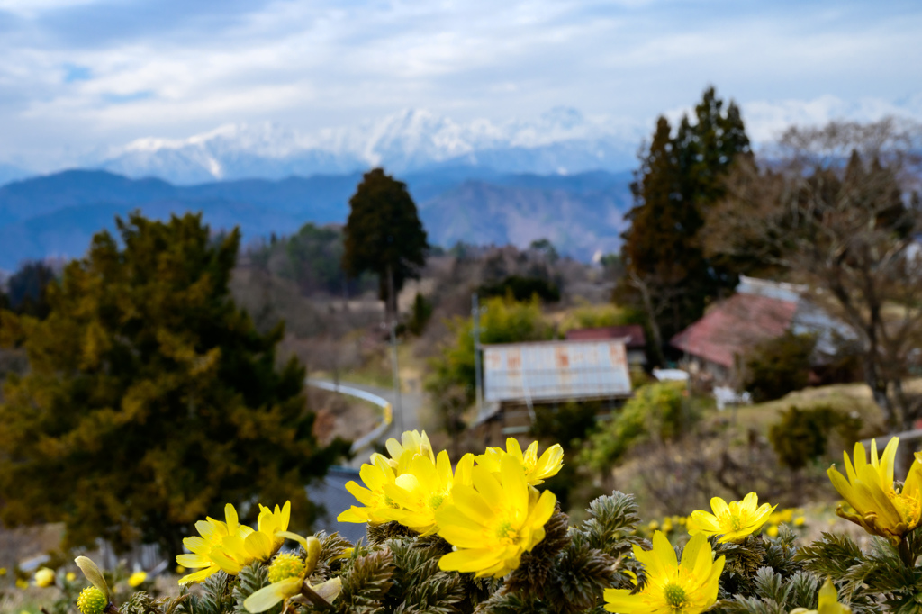 里山の春