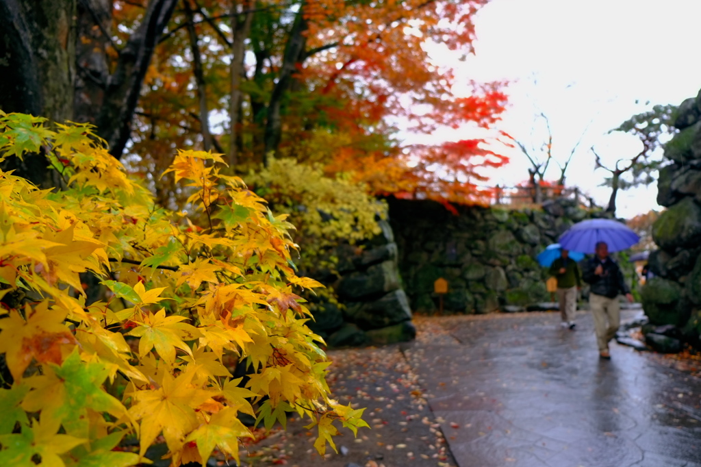 雨の城址