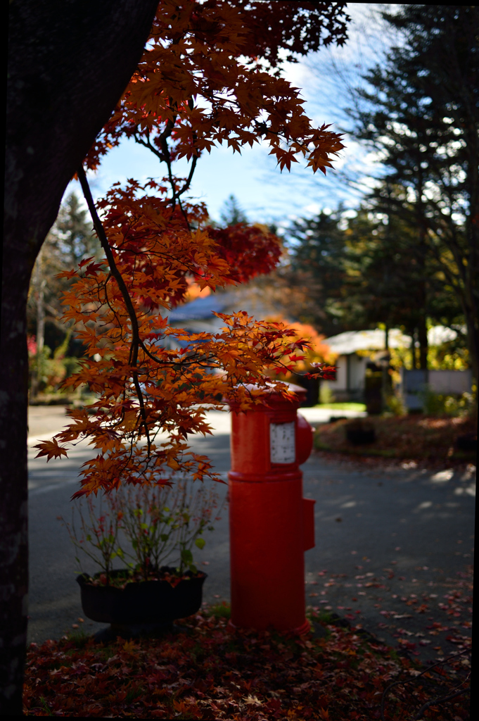 紅葉ポスト